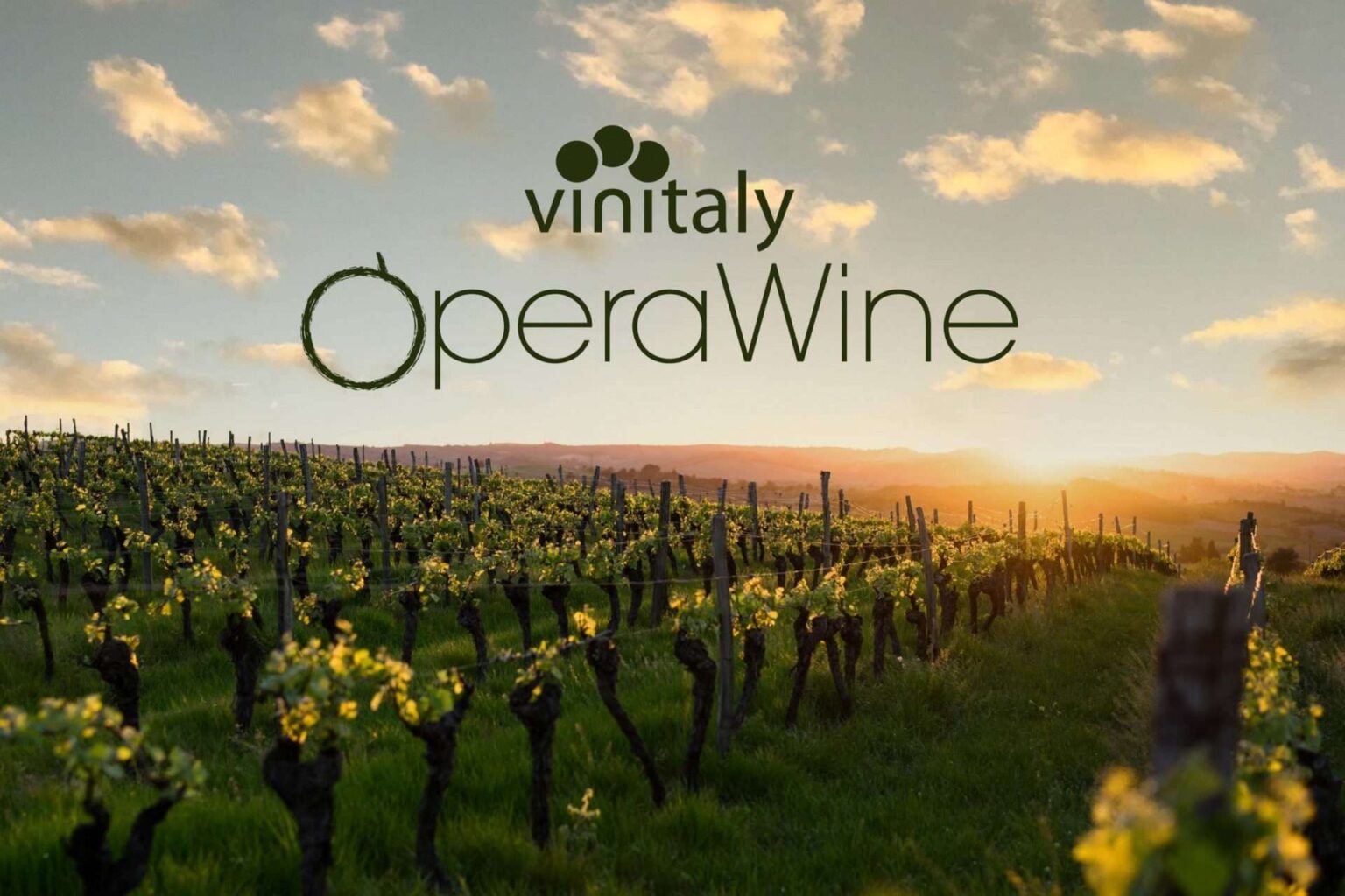 Wine news of June 22